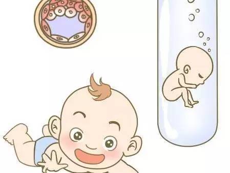 胚胎操作